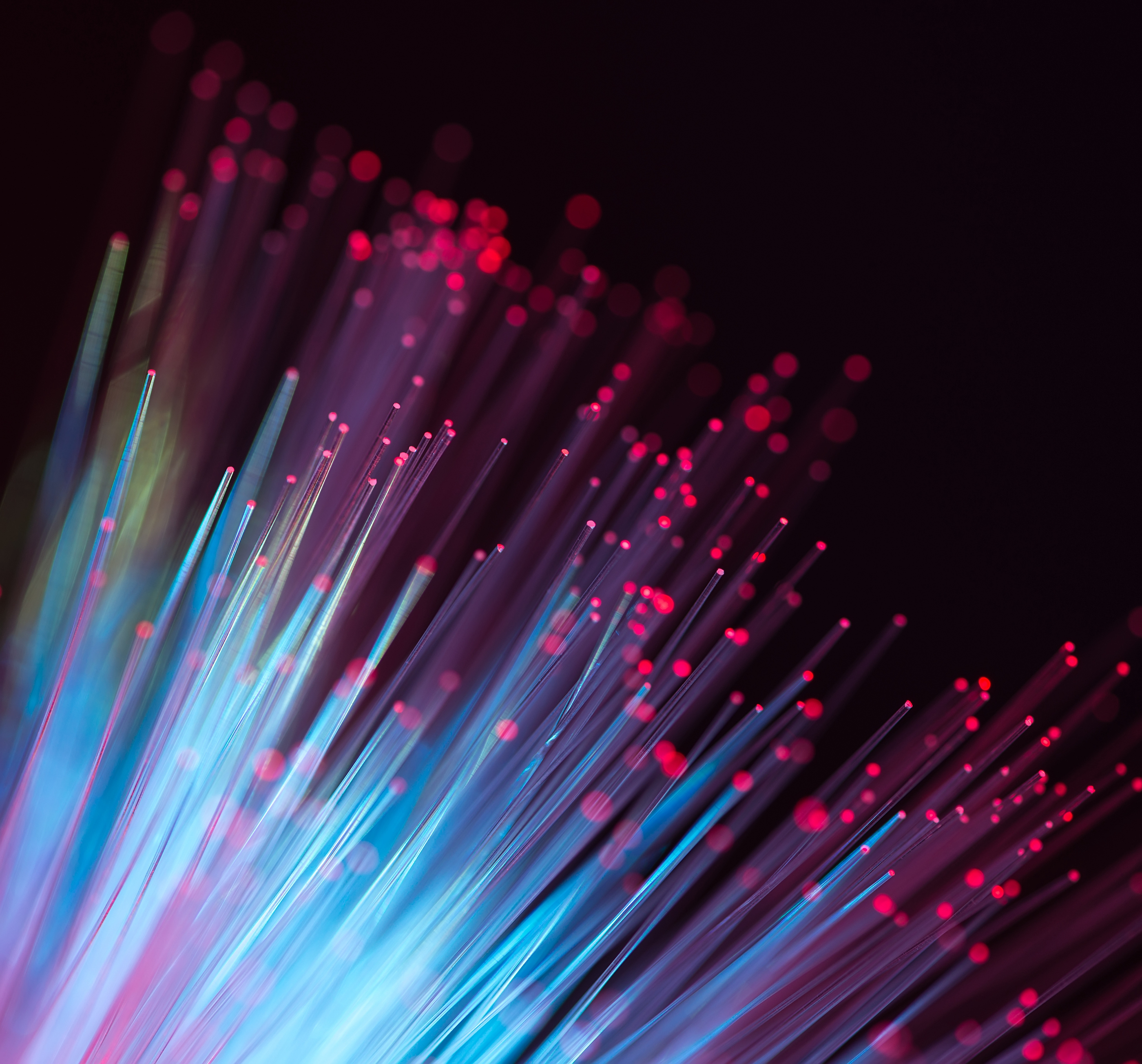Fibers
